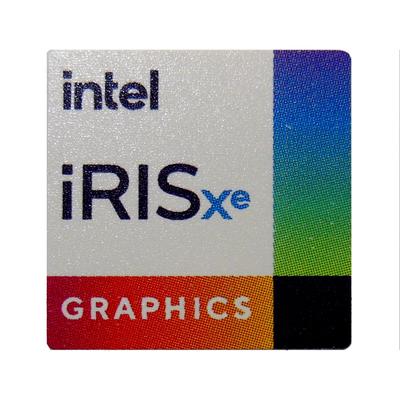 Intel Iris Xe Graphics (G7, 96EU) (Xe Gen 12.1/96 EUs/1350MHz/Shared LPDDR4x/DDR4/Integrated)