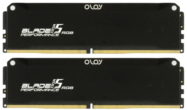 OLOy D5U1660405B-K88 16GB DDR5 Desktop Memory Module