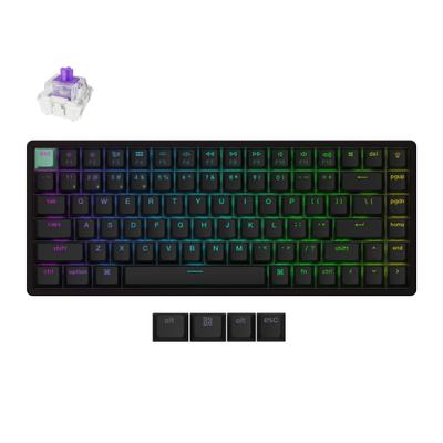 Keychron K2 HE (75%/Magnetic Hall Effect/Tri-Mode Wireless + Wired/Hot-Swappable/8000Hz Polling)