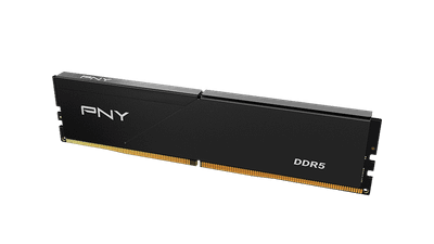 PNY Performance 16GP1X1664JJJ84-14-K (16GB/DDR5 6400MHz/No RGB)