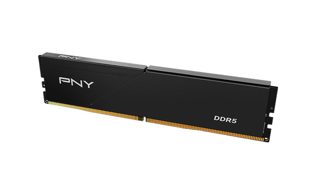 PNY 16GP1X1664JJJ84-14-K 16GB DDR5 desktop memory module