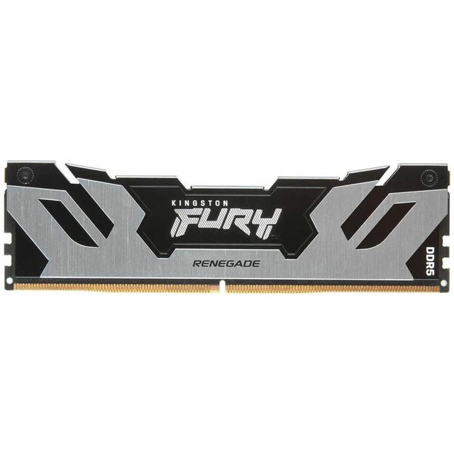 Kingston FURY Renegade KF580C38RS-16 16GB DDR5-8000 CL38 desktop memory module, silver/black