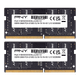 PNY Performance MN16GSD42666 (16GB DDR4-2666 SODIMM/CL19/Laptop Memory/Non-ECC)