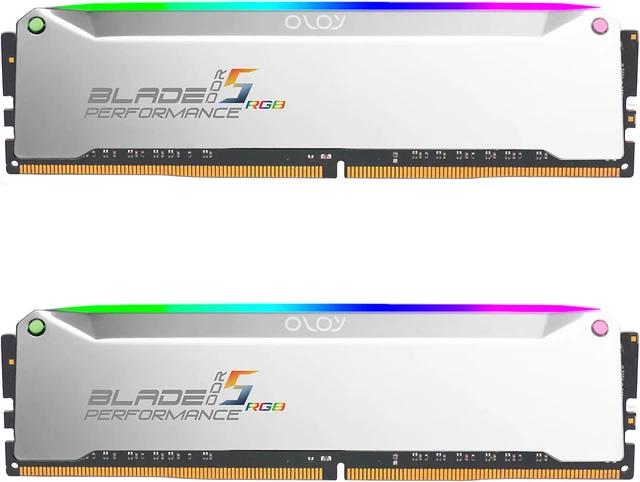 OLOy D5U1660366B-K88 16GB DDR5 Desktop Memory Module