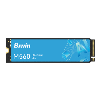 Biwin M560