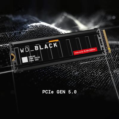 WD BLACK SN8100 HS 4000GB