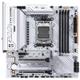Colorful CVN B650M Gaming Frozen V14 (AM5/AMD B650/mATX/Onboard Wi-Fi 6/Dual Gen5 M.2)